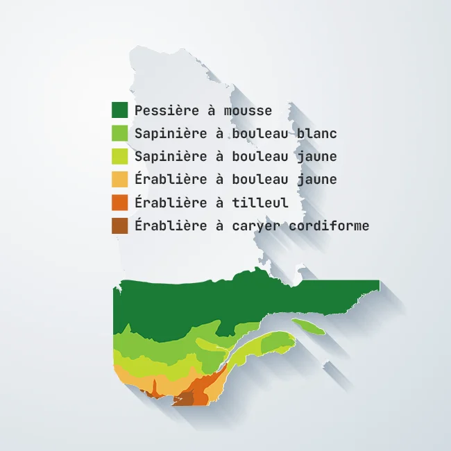 Carte des sous-zones de végétation du Bas-Saint-Laurent